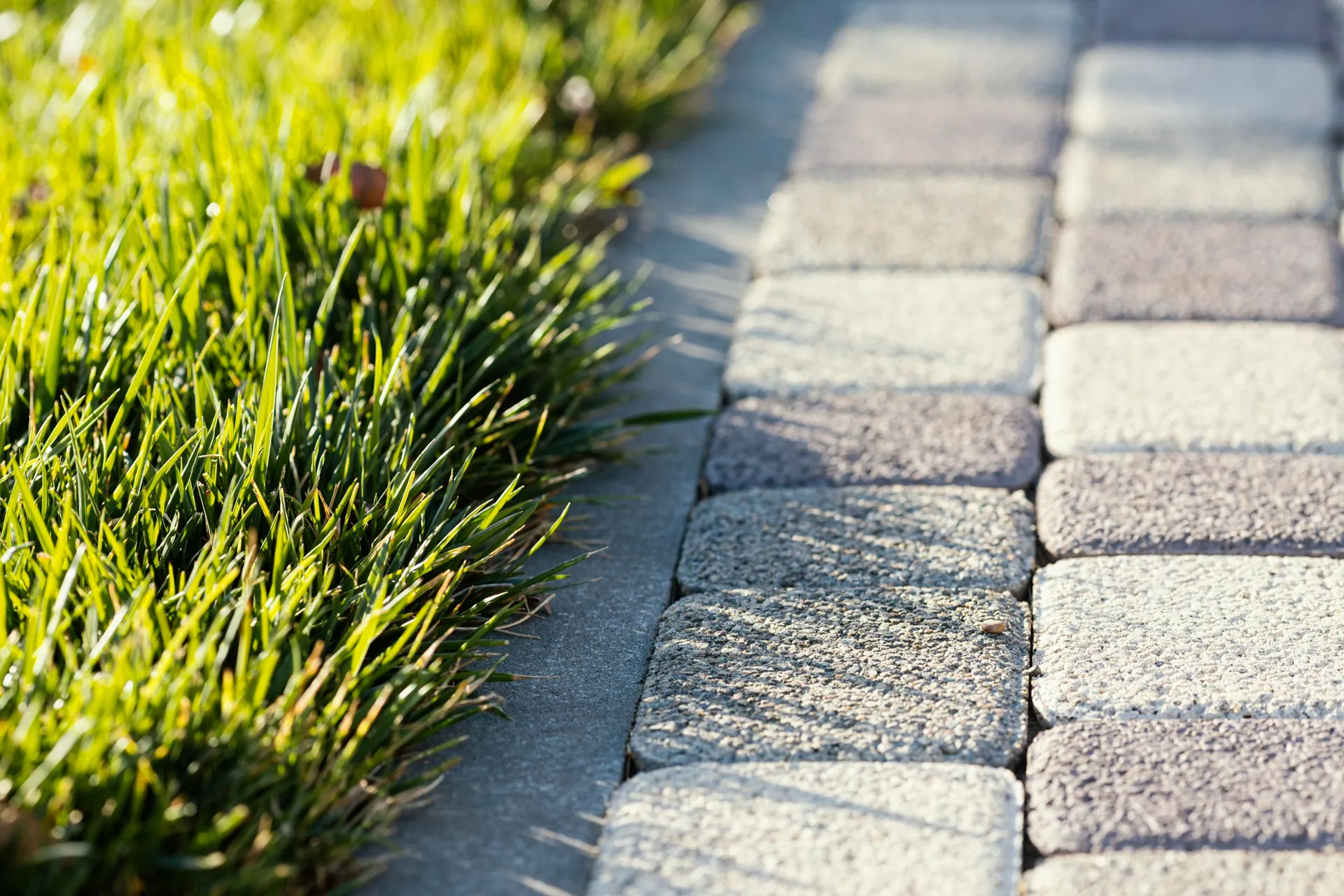 pavage avec herbe jardin